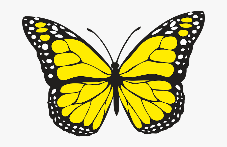 Black And White Butterfly Png, Transparent Clipart