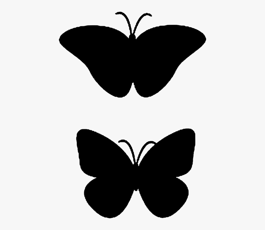 Insect, Transparent Clipart