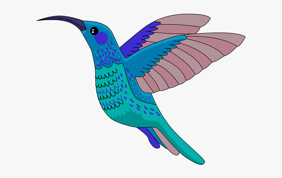 Hummingbird, Transparent Clipart