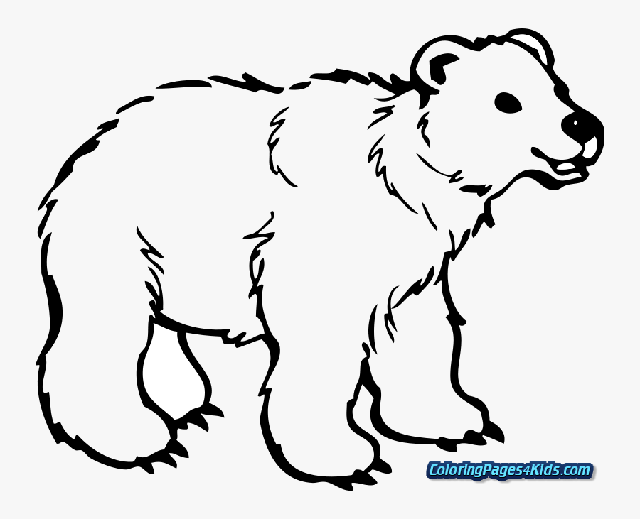 Transparent Coloring Pages Png - Outline Pictures Of Wild Animals, Transparent Clipart
