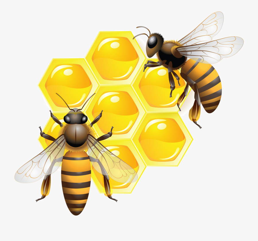 Bee Honey Png, Transparent Clipart