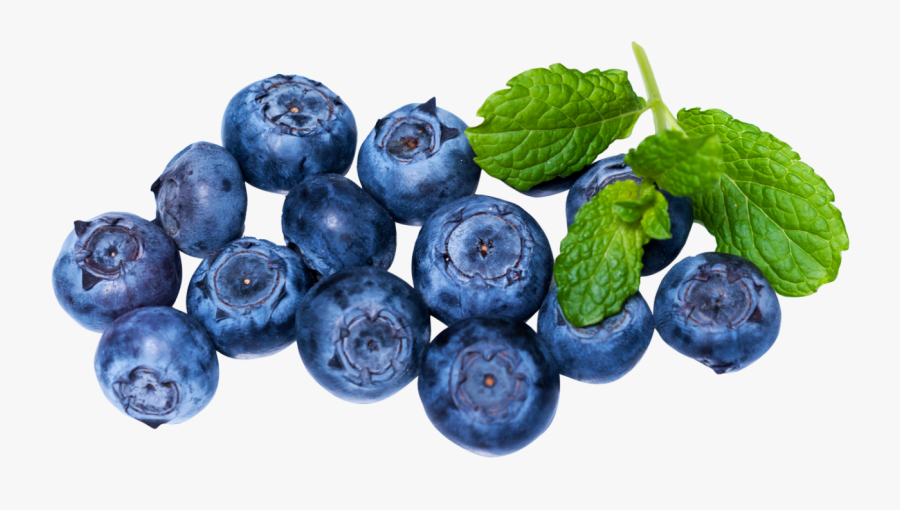 Fresh Blueberries Png Image - Blueberries Png, Transparent Clipart