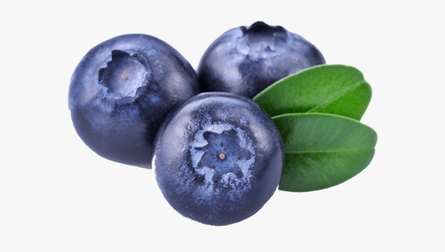 Three Blueberries - Blueberry Png, Transparent Clipart