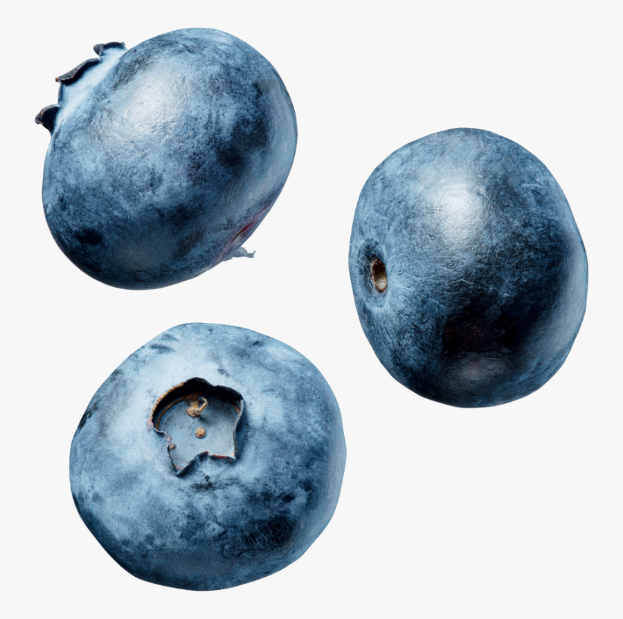 Blueberry Png Image - Blueberries White Background, Transparent Clipart