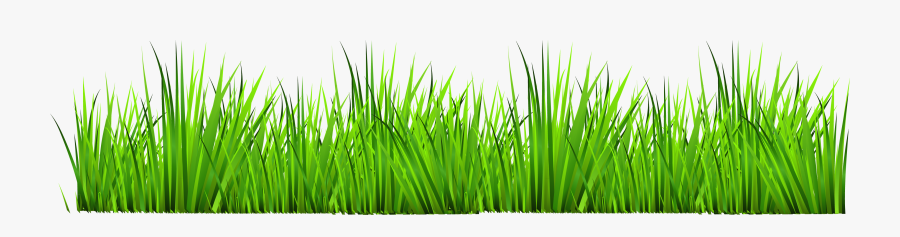 28 Collection Of Grass Clipart Transparent Background - Grass Clipart, Transparent Clipart
