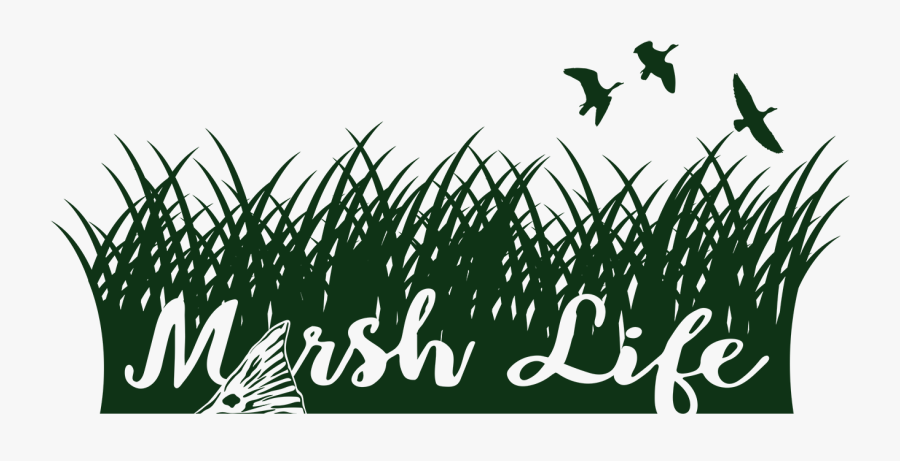 Logo Design By Daniel Spence Designs For G2 - Illustration, Transparent Clipart