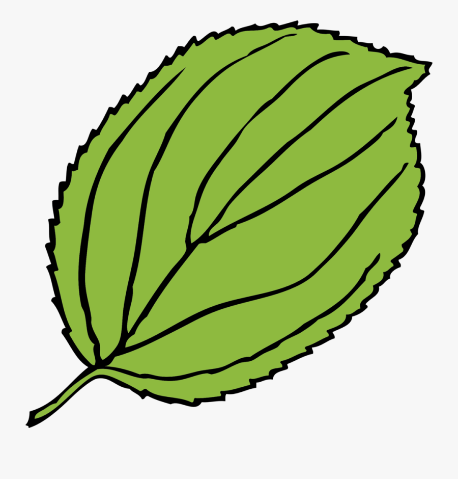 Apple Tree Leaf Clipart, Transparent Clipart