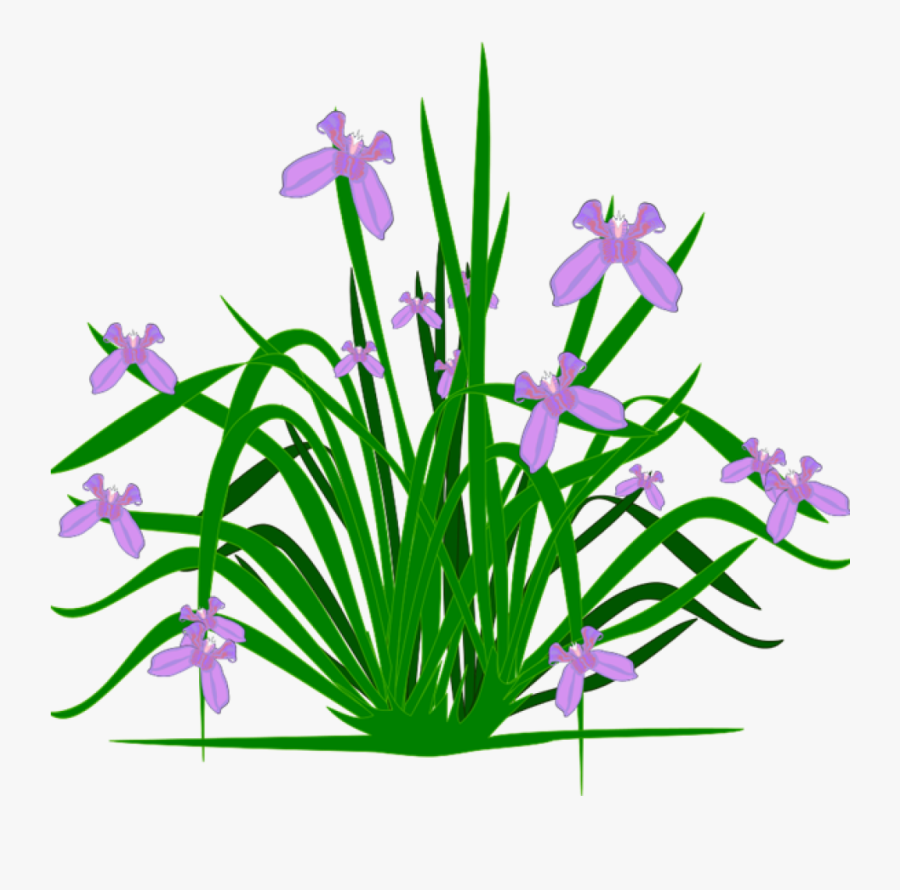 Free Clipart Plants Free Clipart Plants Plants Clip - Flower Plant Clipart, Transparent Clipart