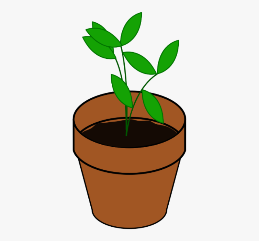 Plant In A Pot Clipart, Transparent Clipart