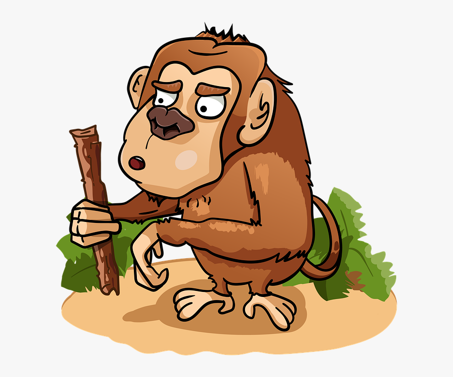 Macaque, Transparent Clipart
