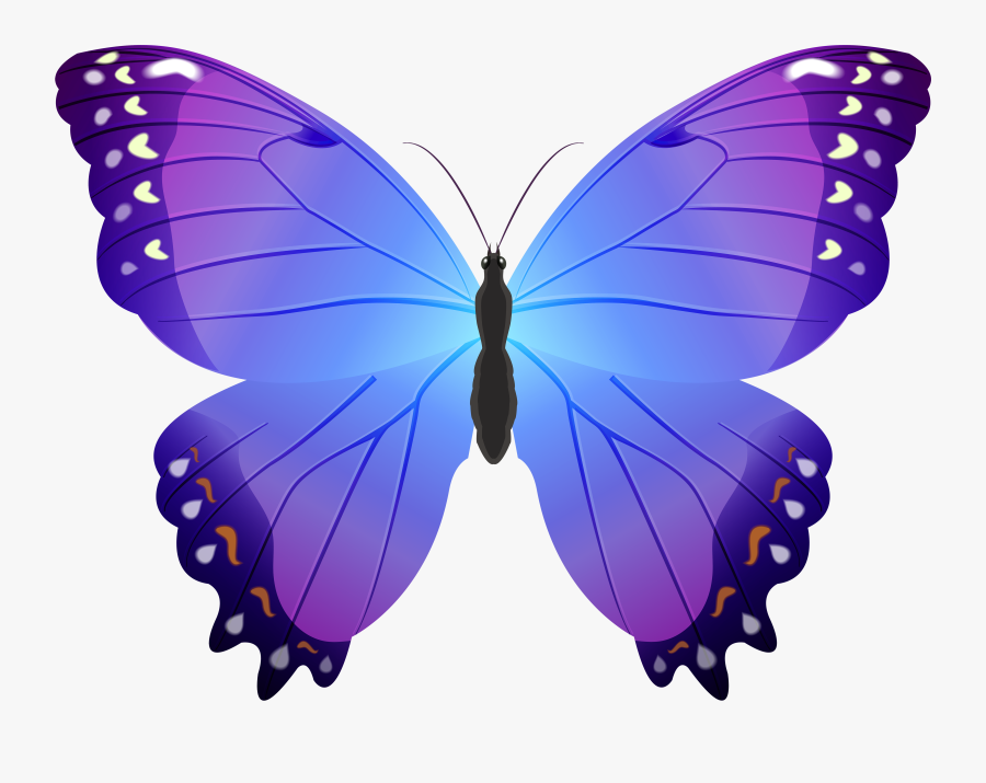 Butterfly Violet Png, Transparent Clipart
