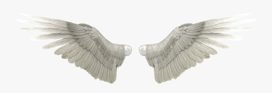 Download For Free 10 Png Angel Png Heaven Top Images - Angel Wings Png Transparent, Transparent Clipart