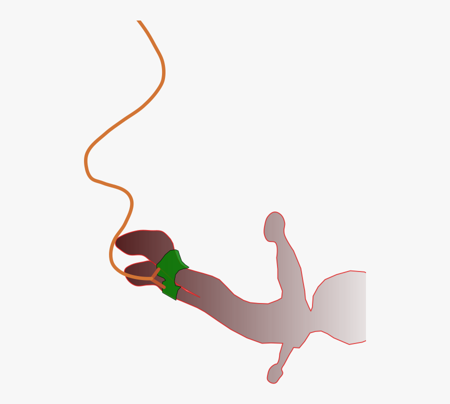 Clipart - Bungee Jump Clip Art, Transparent Clipart