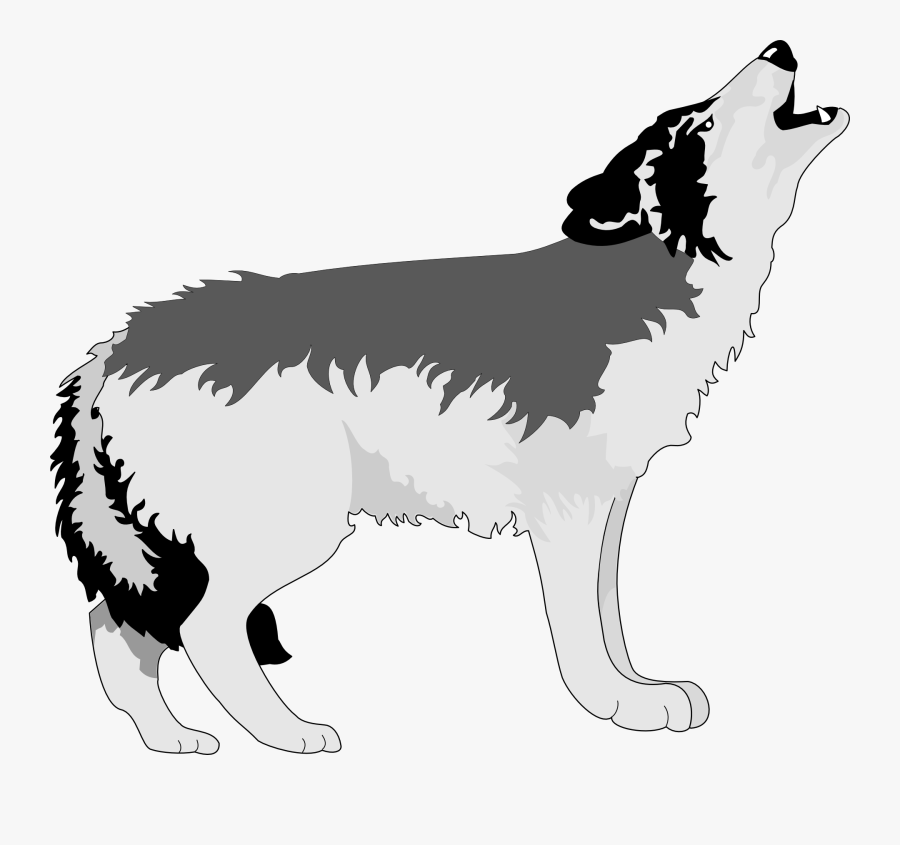Gray Wolf Aullido Drawing Clip Art - Howling Clipart, Transparent Clipart