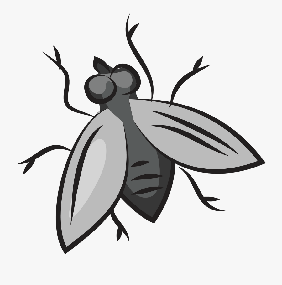 Fly Clipart, Transparent Clipart