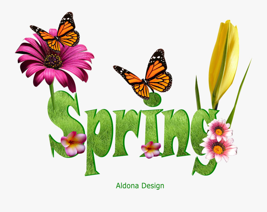 Monarch Butterfly, Transparent Clipart