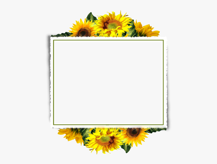 Sunflower Border Clipart , Free Transparent Clipart - ClipartKey.