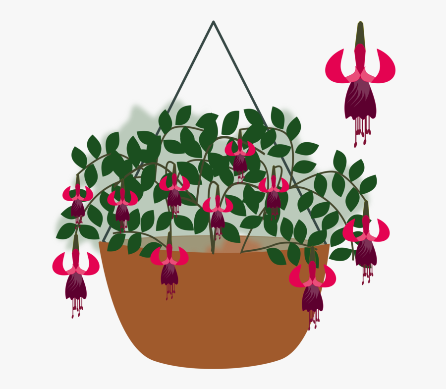 Plant,flora,leaf - Illustration, Transparent Clipart