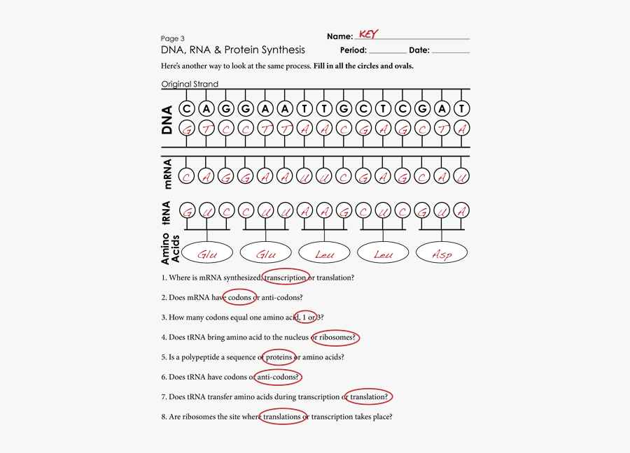 Synthesis essay example pdf picture