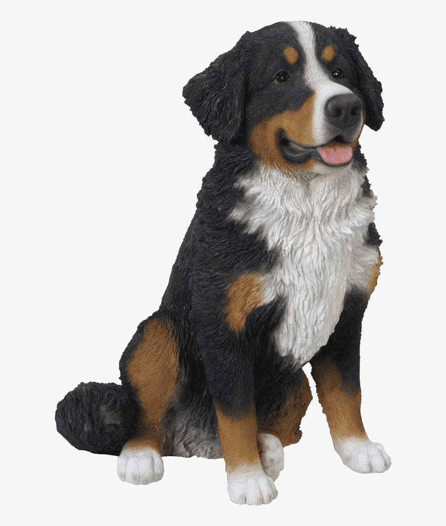 Bernese Mountain Dog Dog Breed Greater Swiss Mountain - Greater Swiss Mountain Dog Png, Transparent Clipart