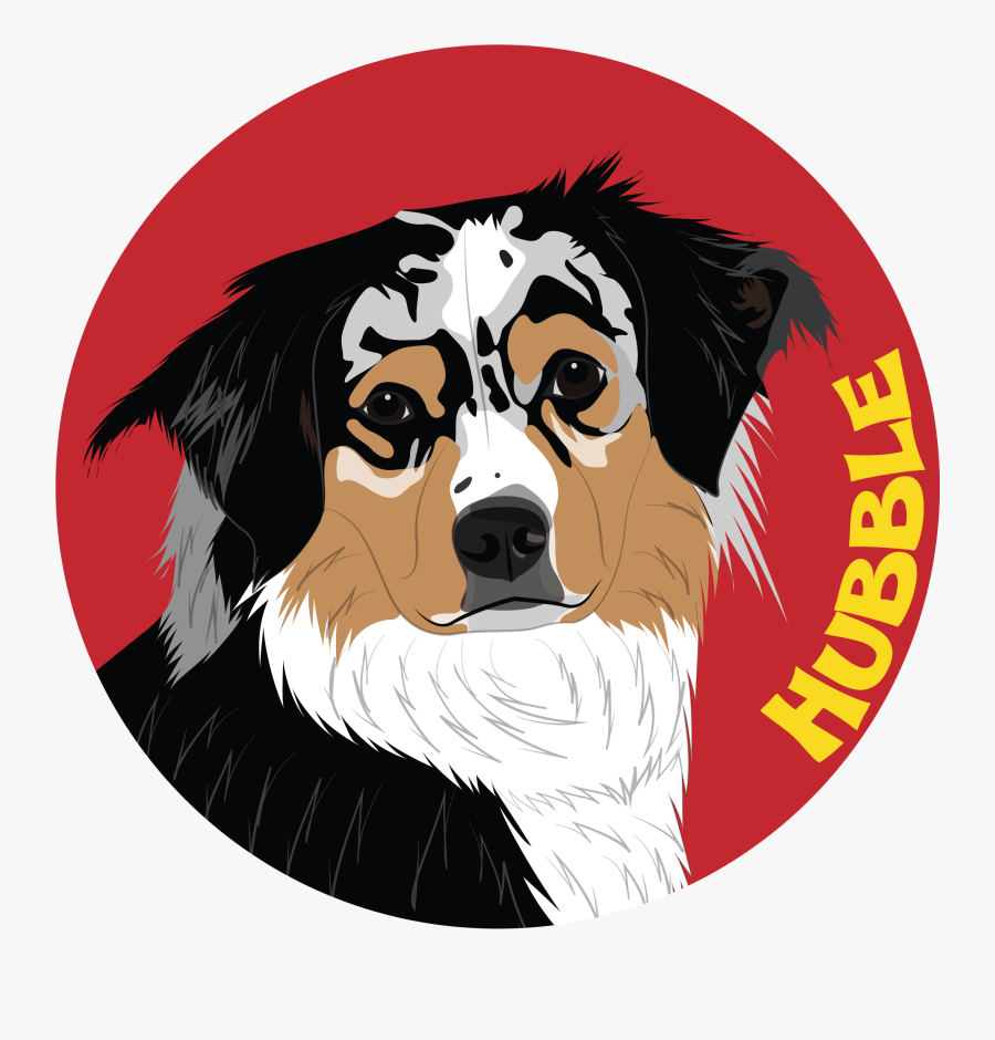 Bernese Mountain Dog Clipart , Png Download - Vinyl Record, Transparent Clipart