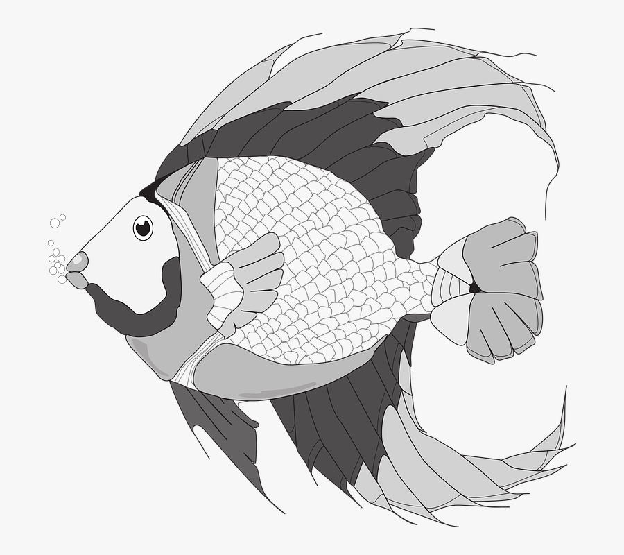 Illustration, Transparent Clipart