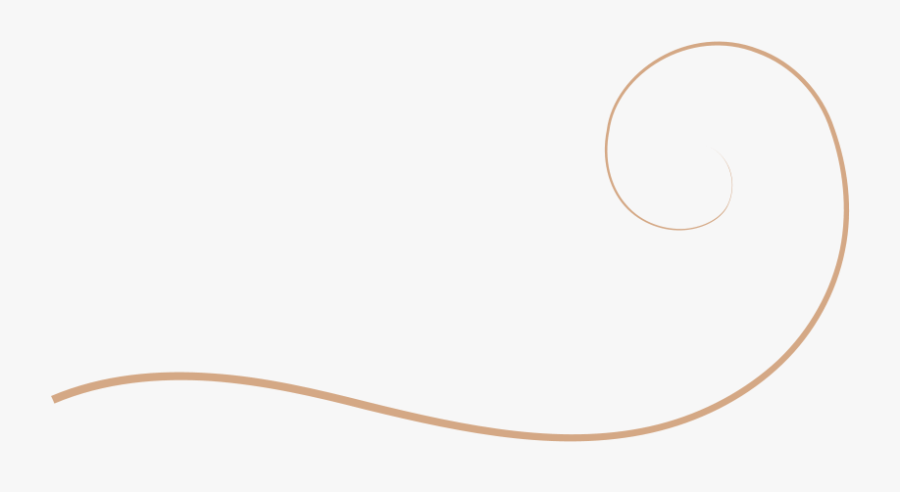 Circle, Transparent Clipart