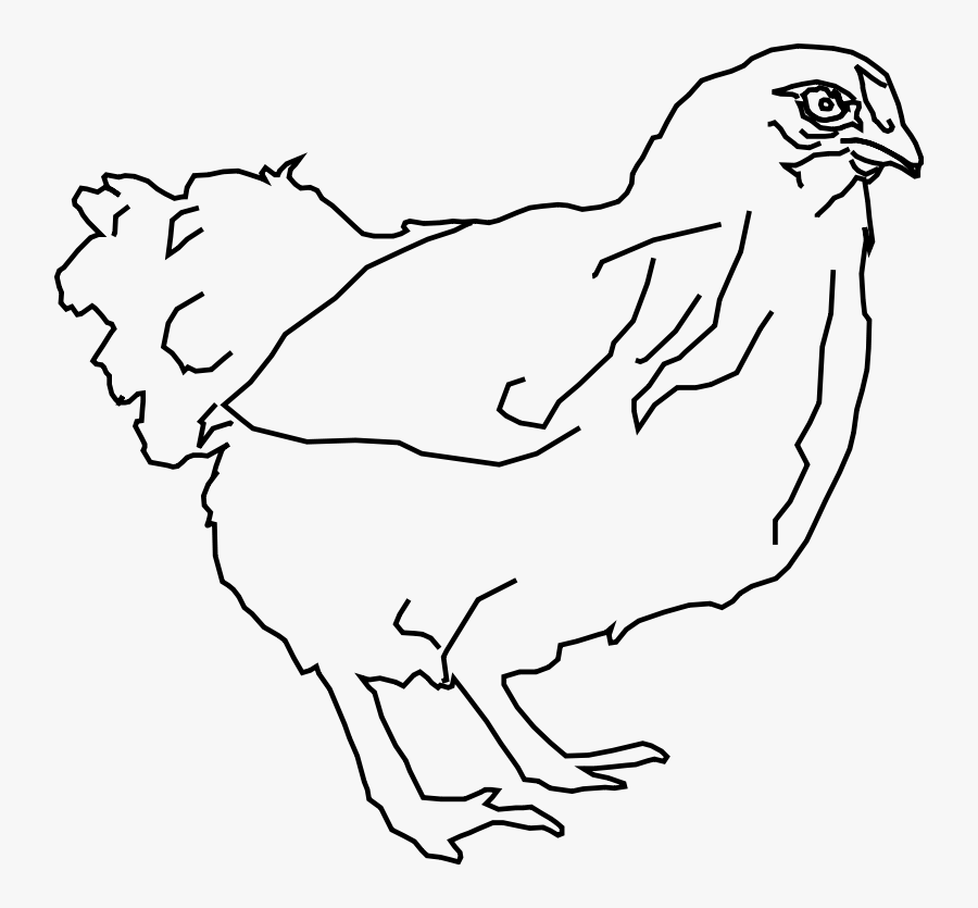 Chicken - Outline Chicken Clipart, Transparent Clipart