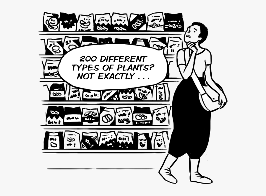 P332 200 Plants - Cartoon, Transparent Clipart
