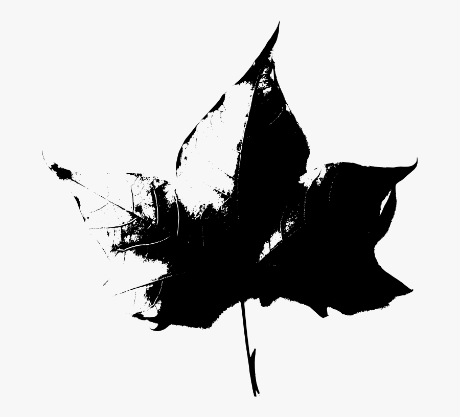 Fall Beijing Leaves Black Stencil - Leaf, Transparent Clipart
