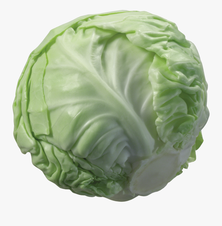 Cabbage Png, Transparent Clipart