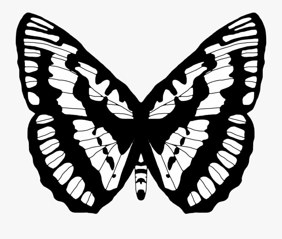 Butterfly,cynthia Subgenus,symmetry - صورة فراشة ابيض و اسود, Transparent Clipart