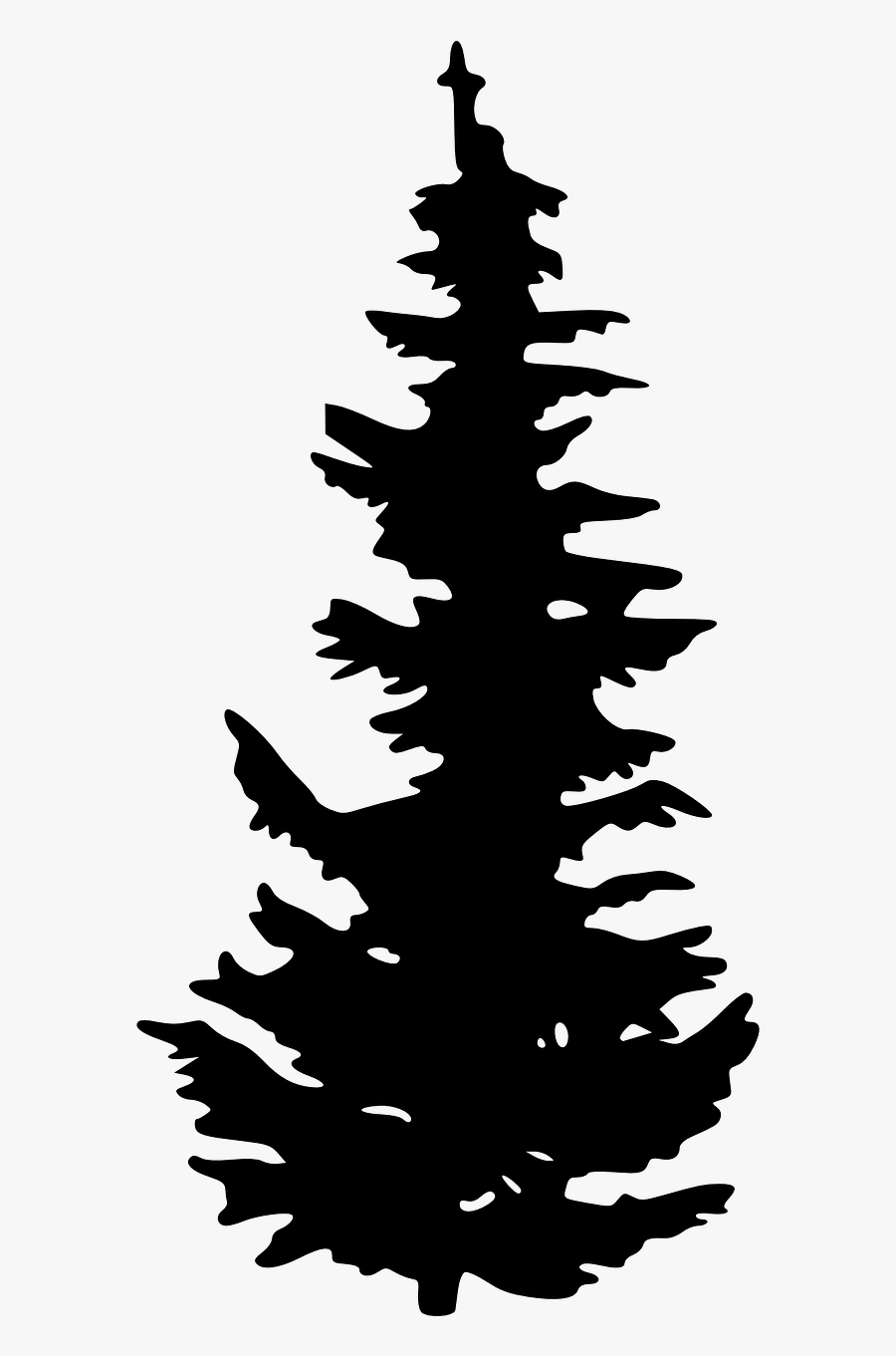 Evergreen Tree Silhouette, Transparent Clipart