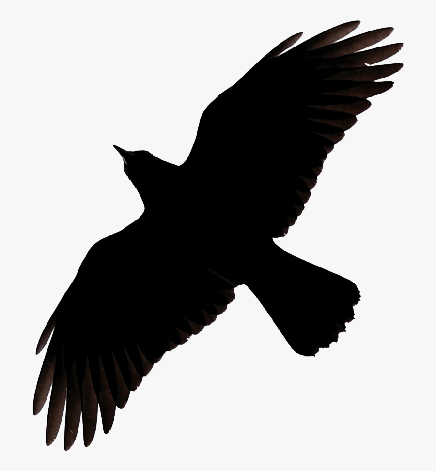 Flying Crow Raven Clip Art - Raven Flying Silhouette, Transparent Clipart