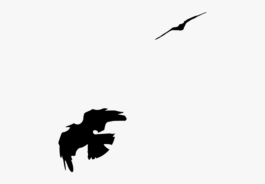 2 Fliegende Kraehen - Crow Outline Drawing, Transparent Clipart
