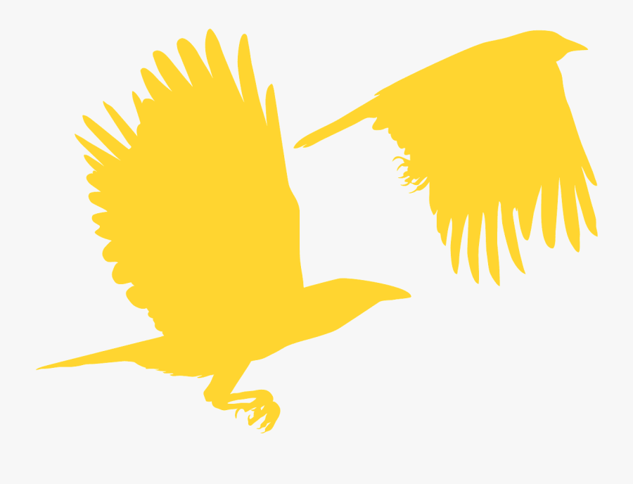 Eagle, Transparent Clipart