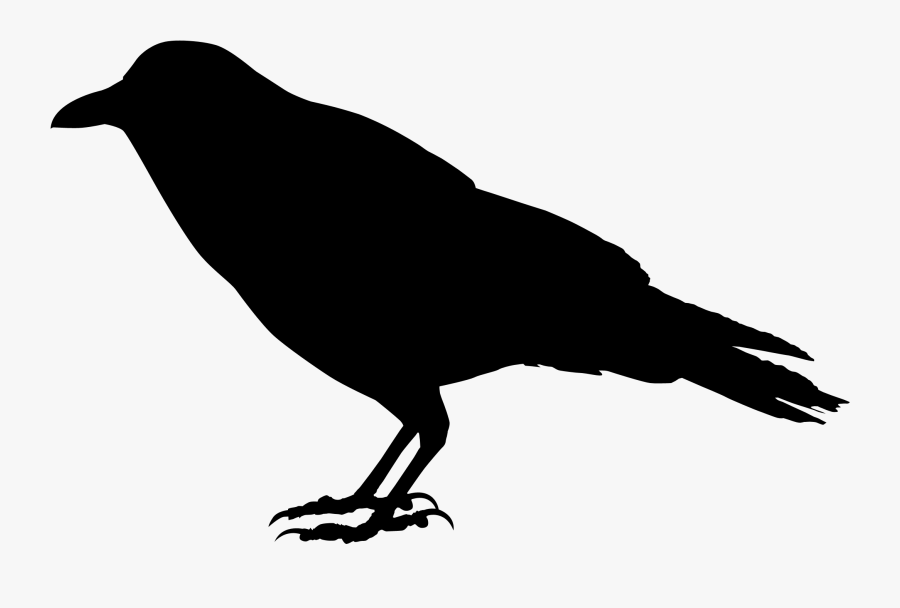 3d Raven Clipart , Png Download - Raven Clipart, Transparent Clipart