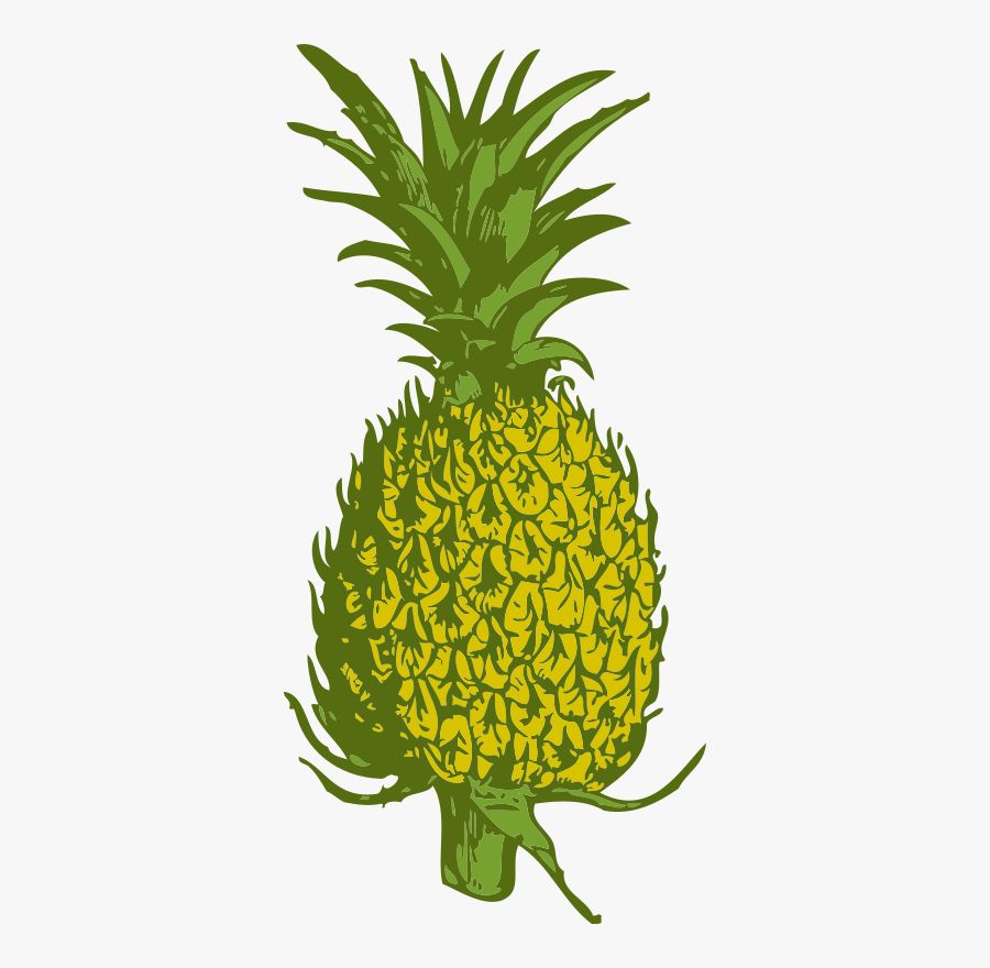 Pineapple - Pineapple Tree Clipart Png, Transparent Clipart