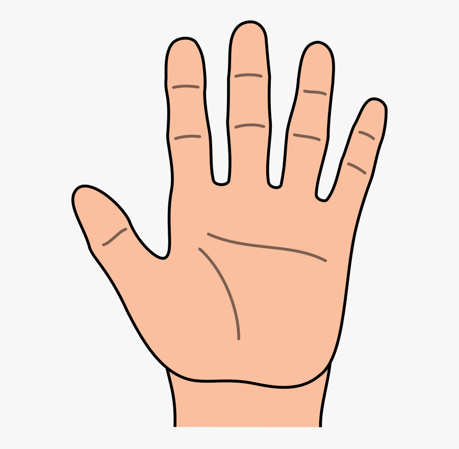 Hand Clipart, Transparent Clipart