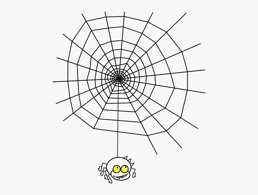 Spider Web Border Panda - Maths In Spider Webs, Transparent Clipart