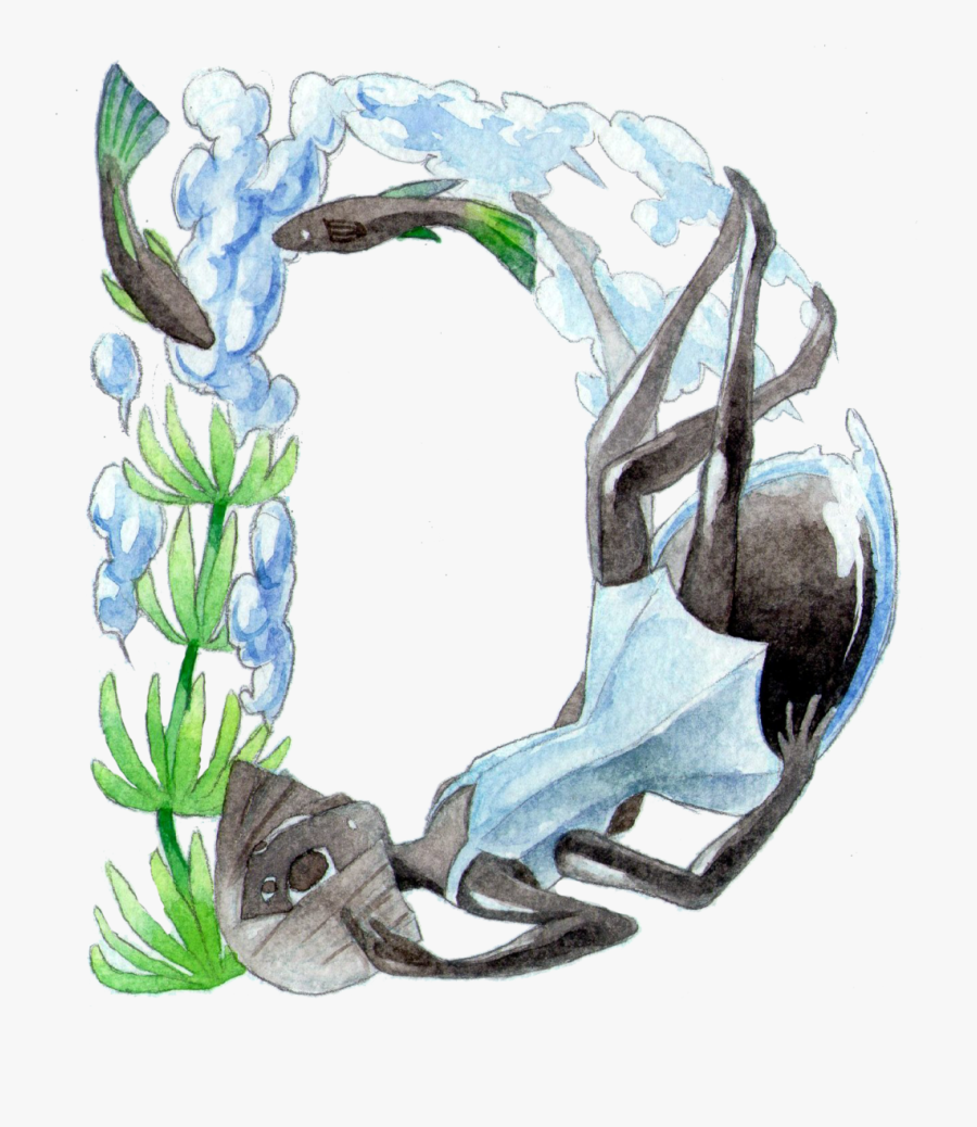 Transparent Free Spider Clipart - Gentiana, Transparent Clipart