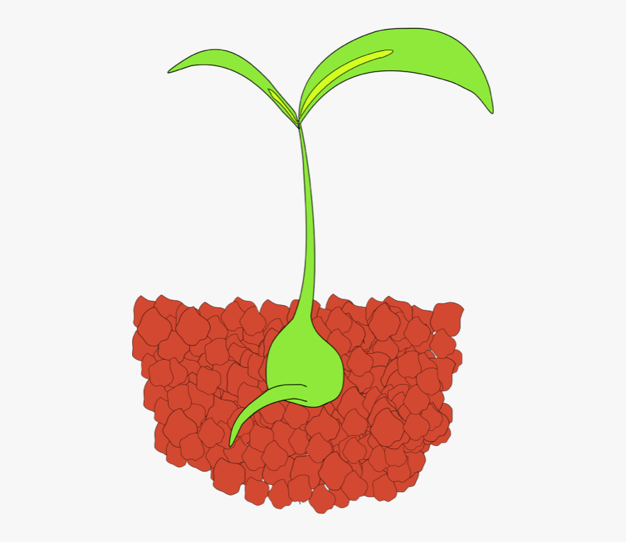 Seedling Clip Art , Free Transparent Clipart - ClipartKey