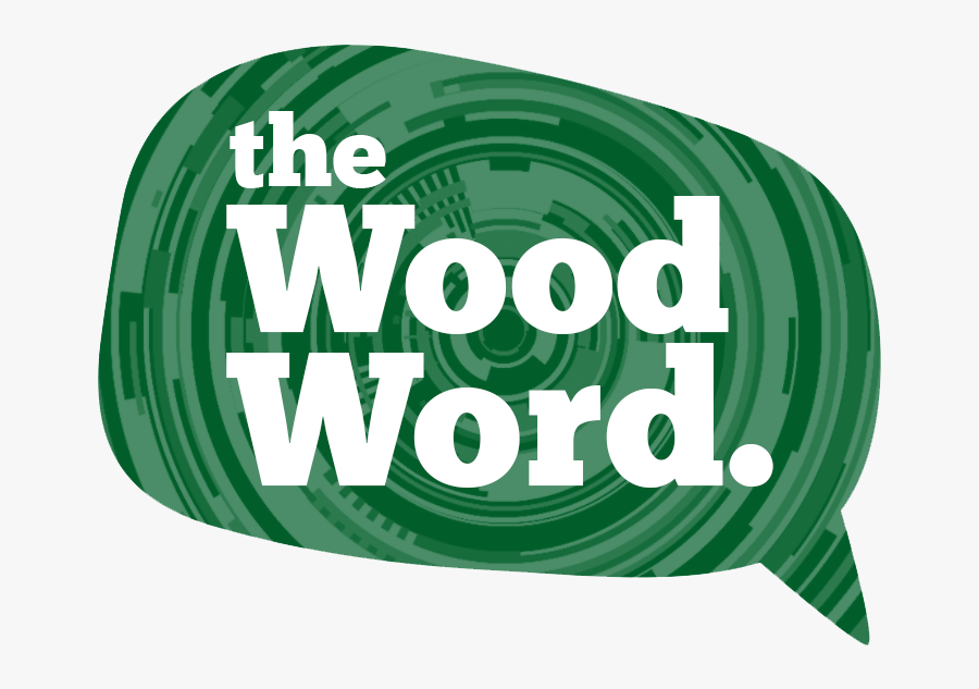 The News Site Of Marywood University - Illustration, Transparent Clipart