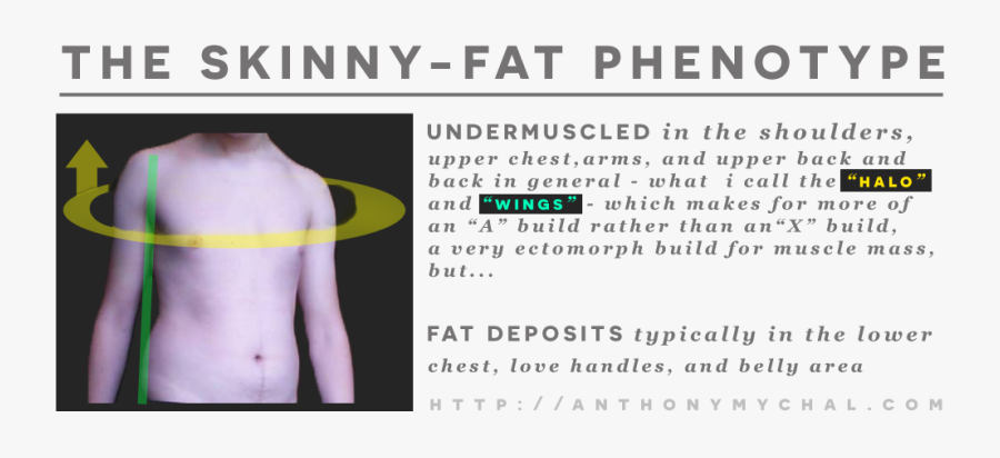 Transparent Skinny Person Clipart - Skinny Fat Mesomorph, Transparent Clipart
