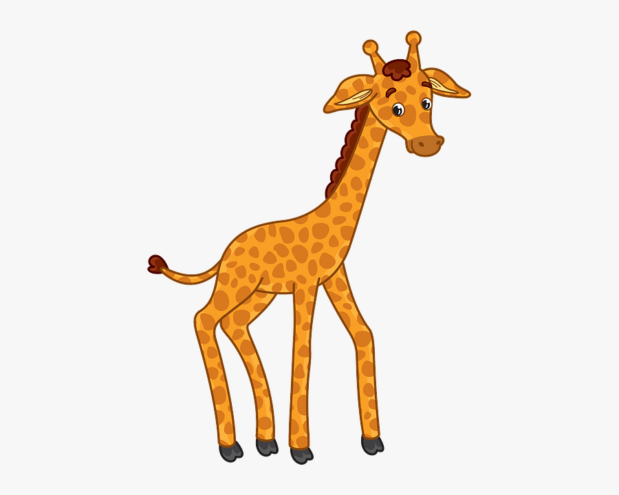 Giraffe Clipart, Transparent Clipart