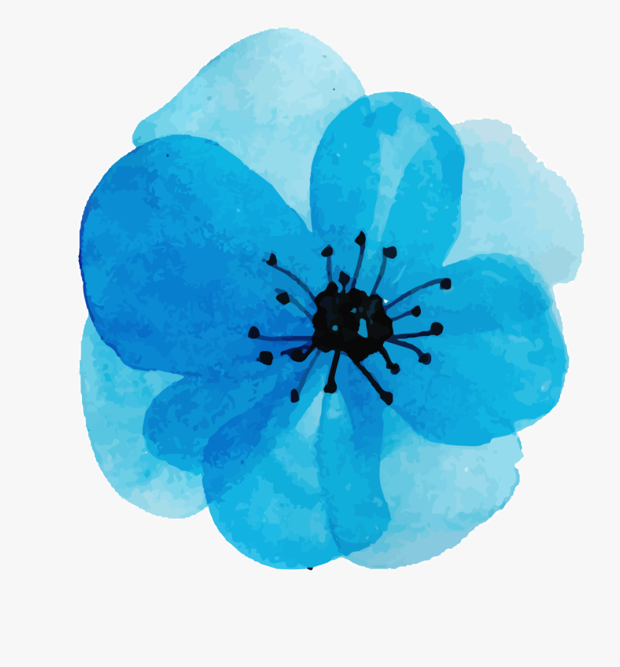 Corn Poppy, Transparent Clipart