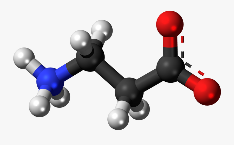 Beta Alanine - Alanine Ball And Stick Model, Transparent Clipart