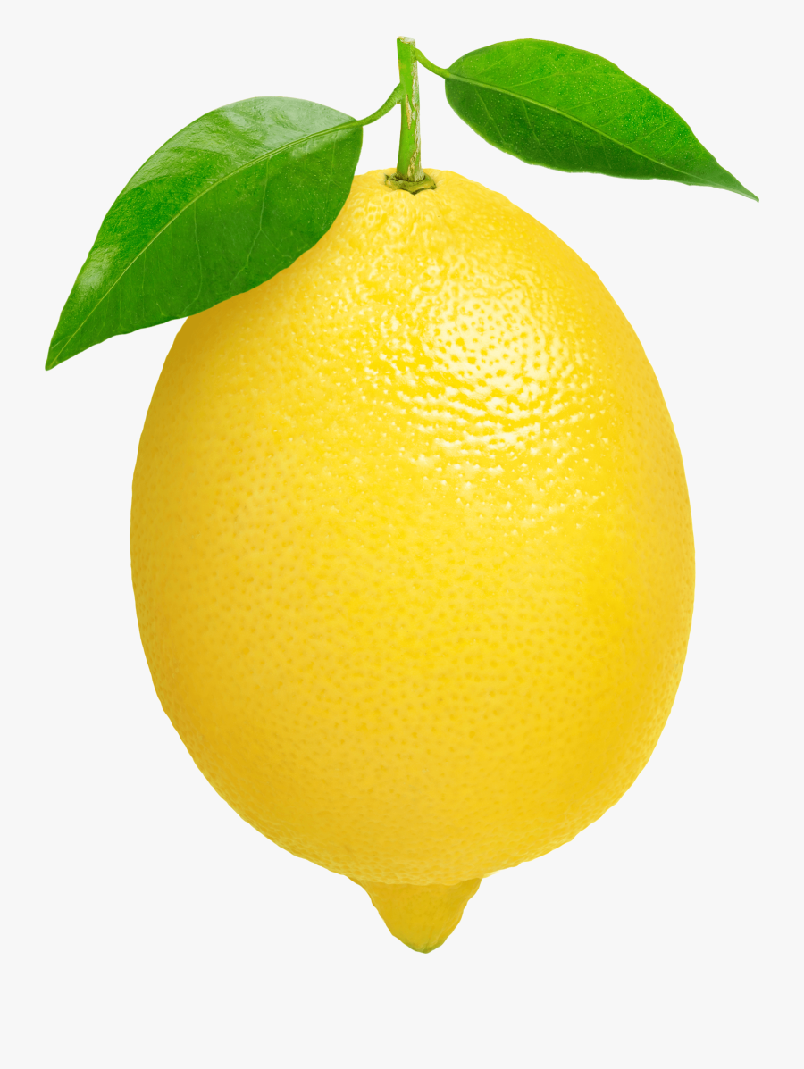 Lemon Leaf Clipart - Lemon Clip Art, Transparent Clipart
