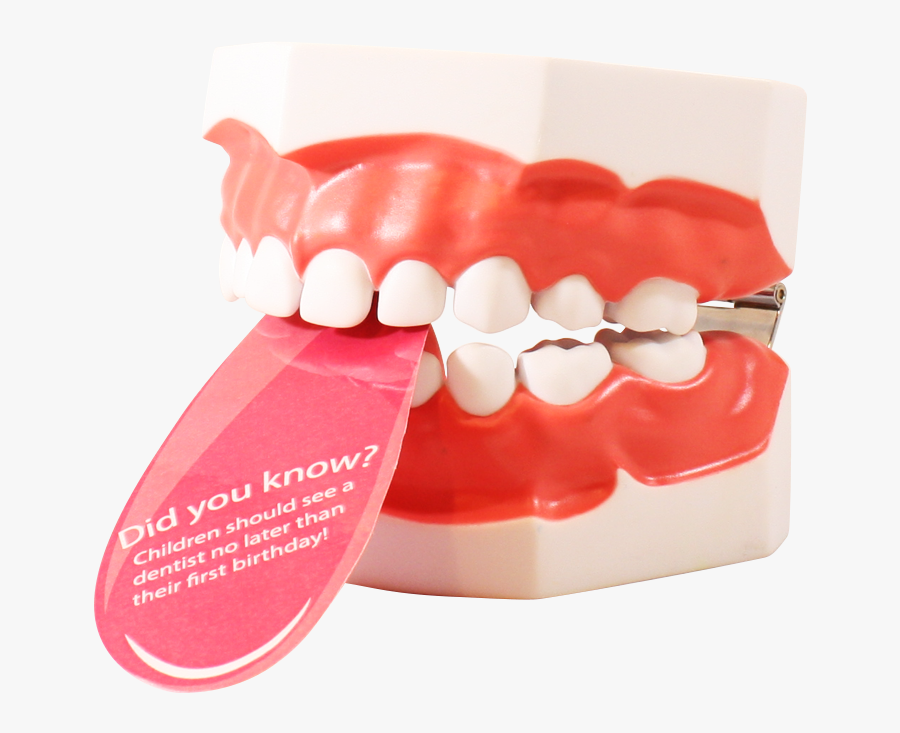 Conversation Between A Tongue And Teeth, Transparent Clipart