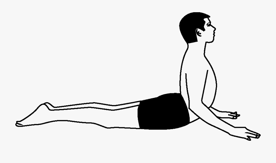 Bhujangasana - Bhujangasana Line Art, Transparent Clipart